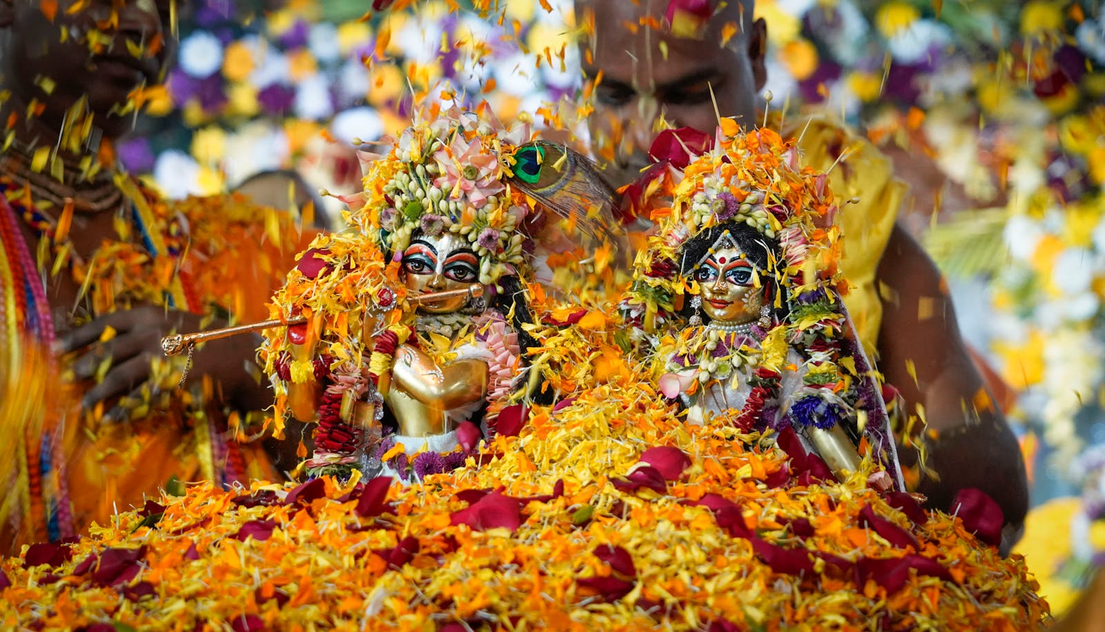 दीवानों की दुनियां